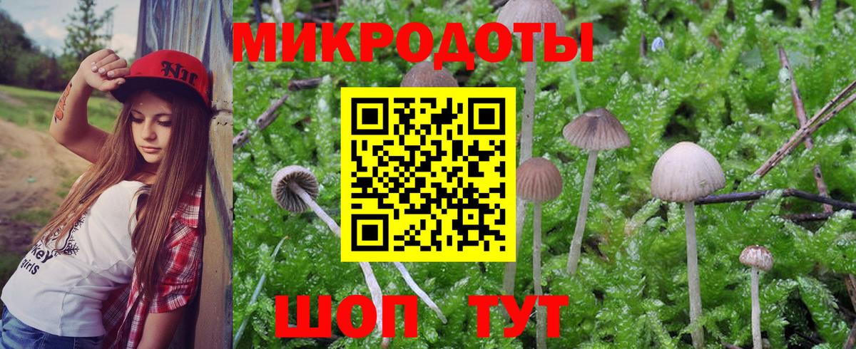 Ногинск  Псилоцибиновые грибы ЛСД  Вход с VPN  Галлюциногенные грибы Psilocybe 