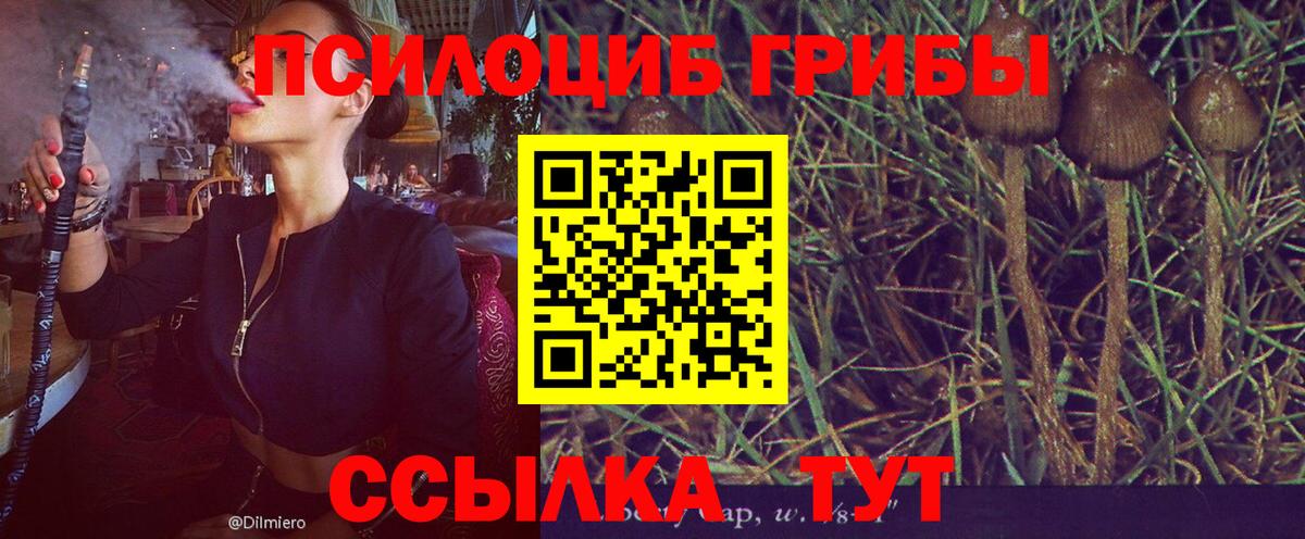 Галлюциногенные грибы мухоморы Ногинск