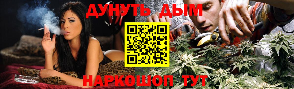 Бошки Шишки тримм  Вход с VPN  Ногинск  Бошки Шишки планчик 